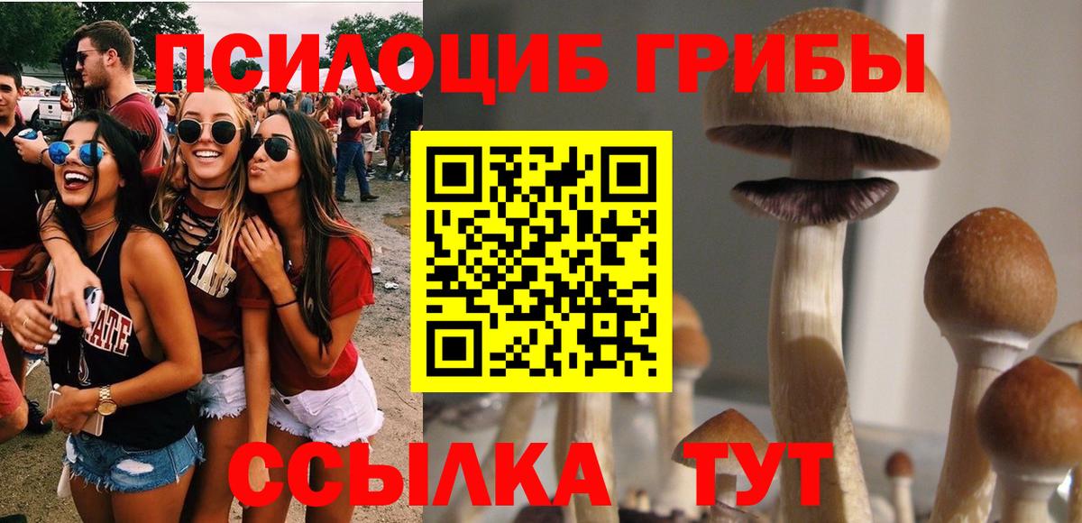 Менделеевск  Галлюциногенные грибы ЛСД  Вход с VPN 