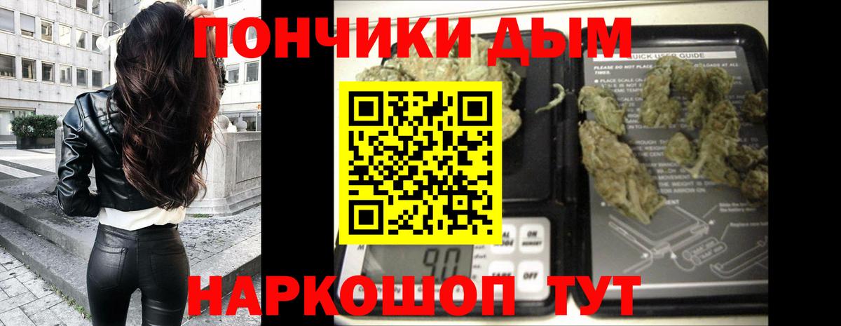 Бошки Шишки семена Менделеевск